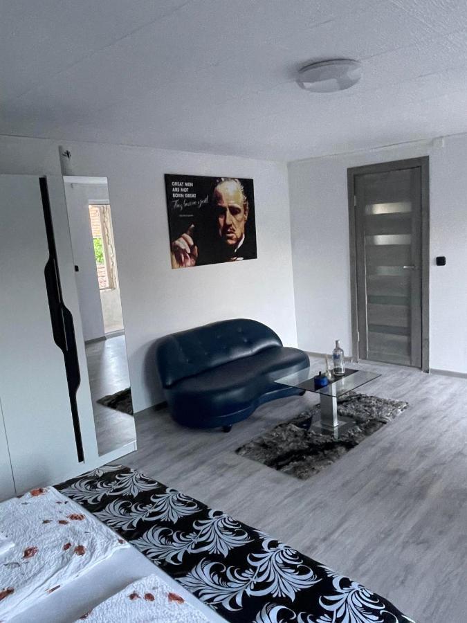 Отель Casa Rio Сигишоара Экстерьер фото
