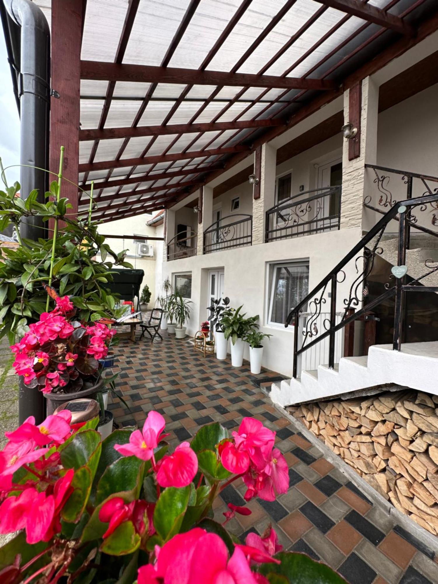 Отель Casa Rio Сигишоара Экстерьер фото